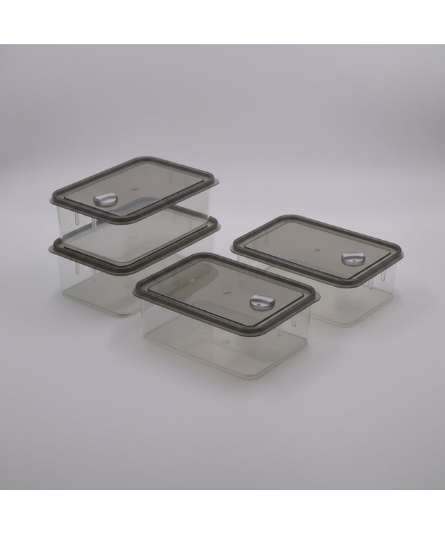 4-Pc Quartet Rectangular Food Storage