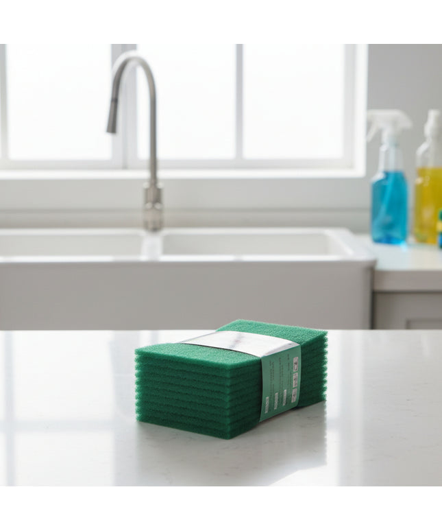 Scouring Pads (10-Piece)