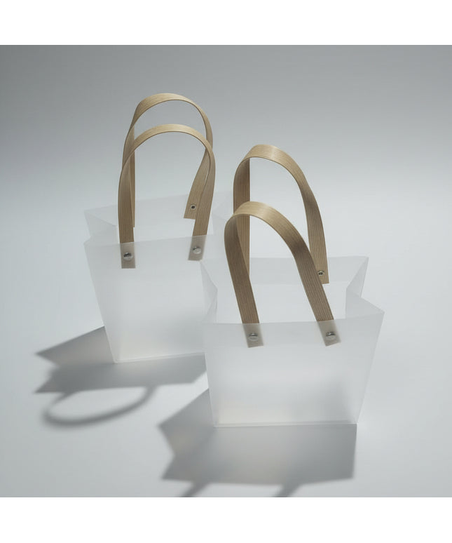 Rivet Frosted Transparent Small Gift Bag (vertical)